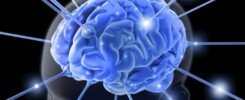 Neuroplasticity