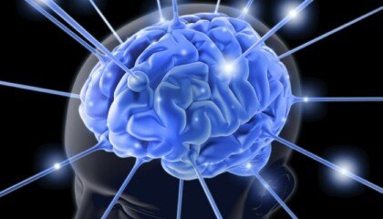 Neuroplasticity