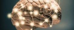 emotional intelligence