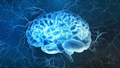how to remember everything