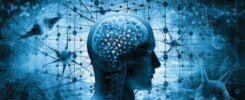 mind mapping